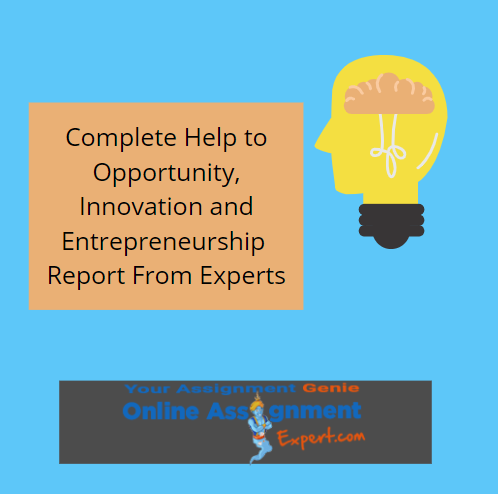 opportunity innovation and entrepreneurship report