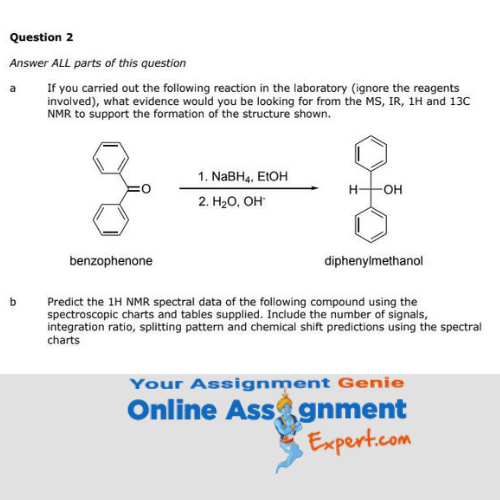 organic chemistry assignment sample
