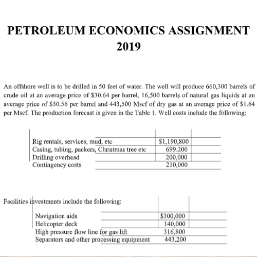 petroleum economics assignment sample