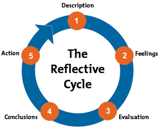 reflective essay cycle
