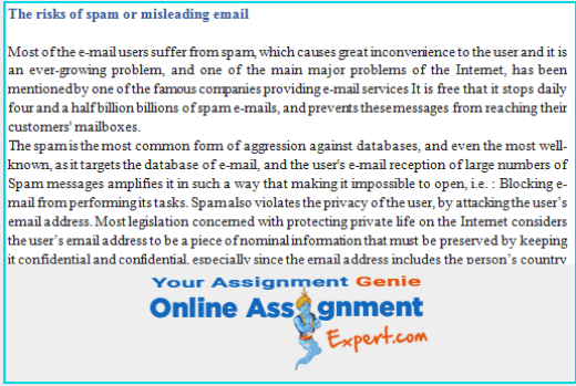 the risks of spam or misleading email