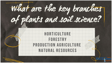 what are the key branches of plants and soil science