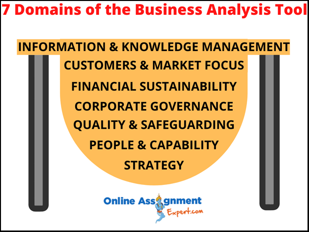 7 Domains of the business analysis tool