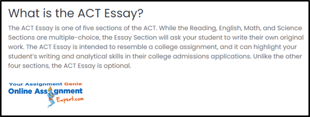 ACT Essay Writing Help 2