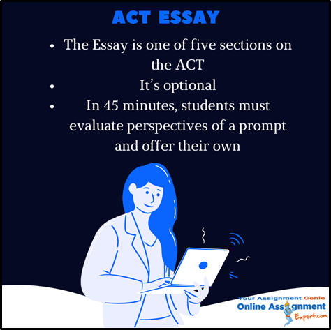 ACT Essay Writing Help