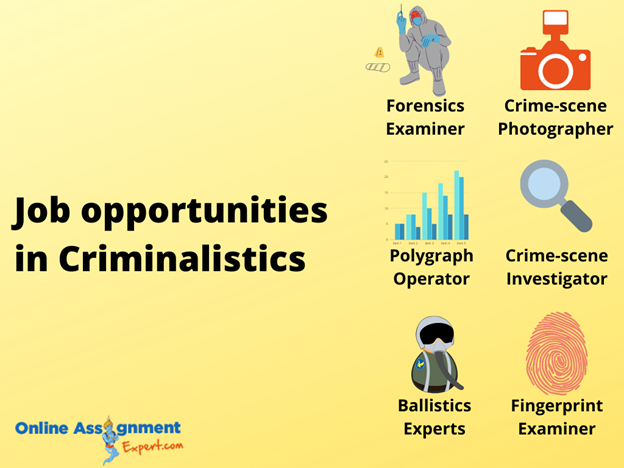 Job opportunities In Criminalistics