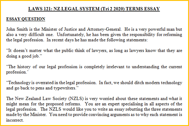 NZ Legal System Terms Essay