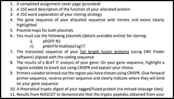 Proteomics Assignment Help 2