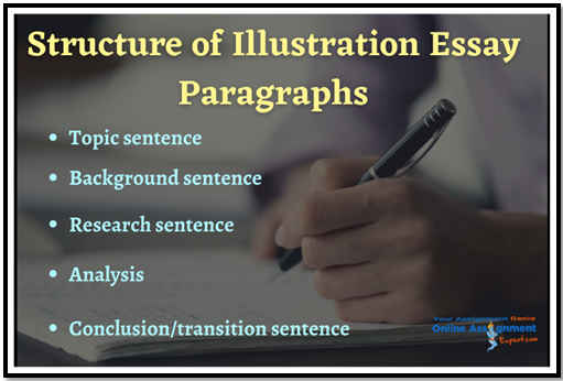 Structure Of Illustration Essay Paragraph