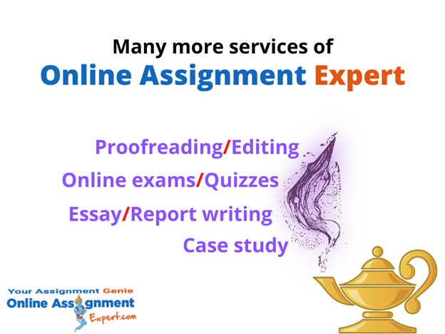 do my assignment for me  online assignment expert