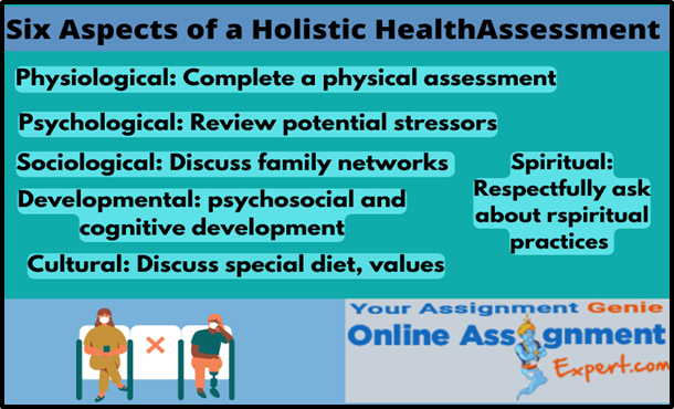 Six Aspects of a Holistic Health Assignment