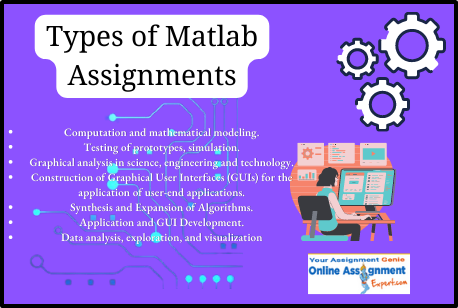 Types of Matlab Assignments Point