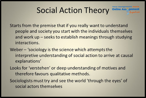 Social Action Theory USA