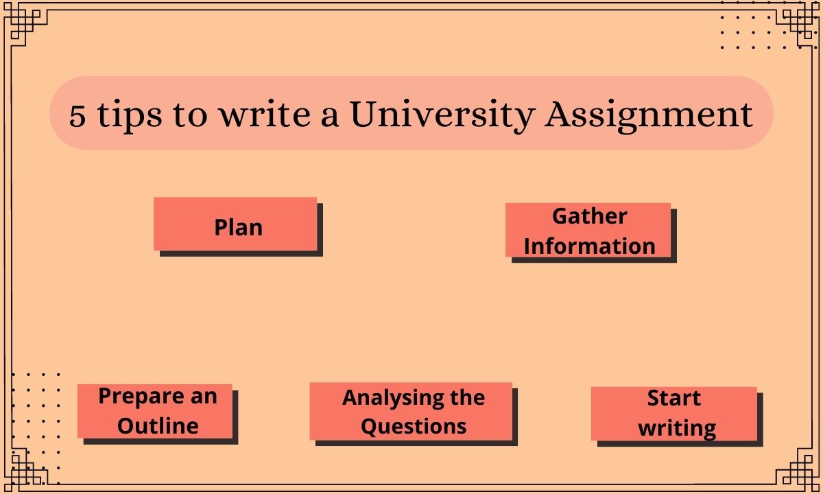tips to prepare university assignment