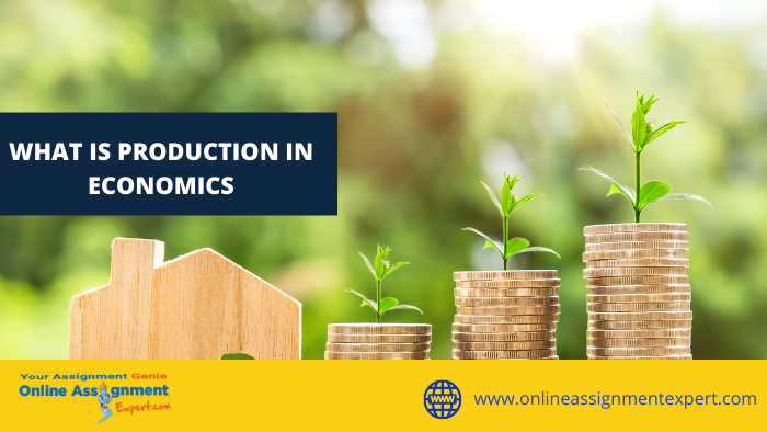 What is Production in Economics?
