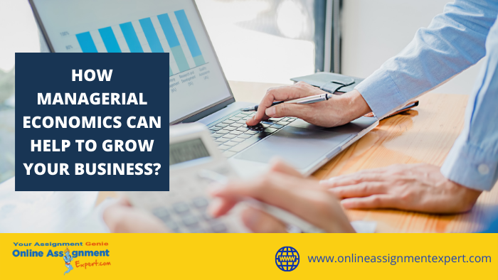 How Managerial Can Economics Can Help to Grow your Business?