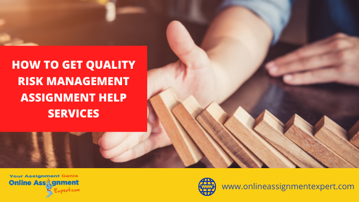 How To Get Quality Risk Management Assignment Help Services?