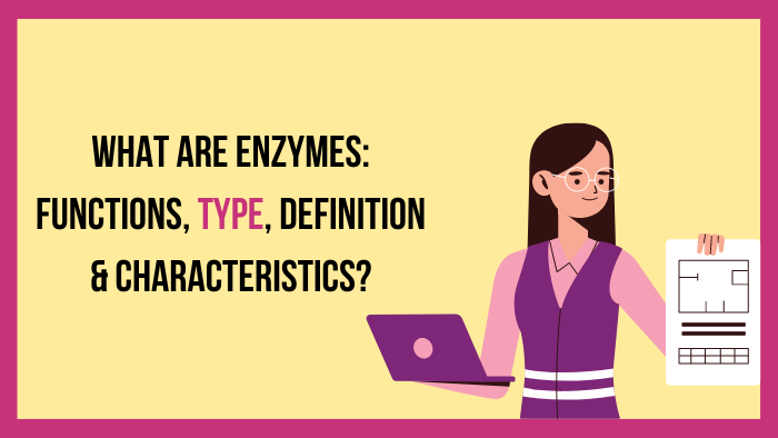 characteristics of enzymes
