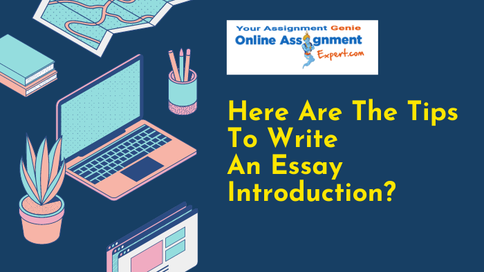 How To Write An Essay Introduction?