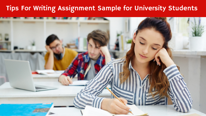 Writing Assignment Sample