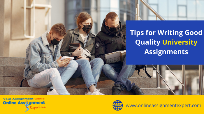 Tips for Writing Good Quality University Assignments