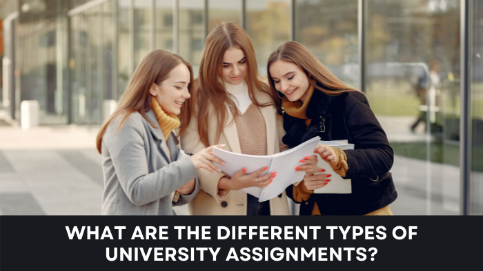 Different Types Of University Assignments