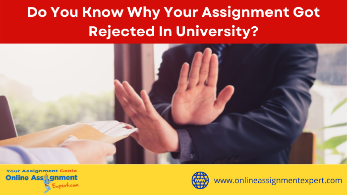 Do You Know Why Your Assignment Got Rejected In University?