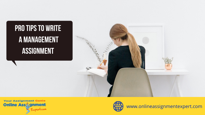 Pro Tips To Write a Management Assignment