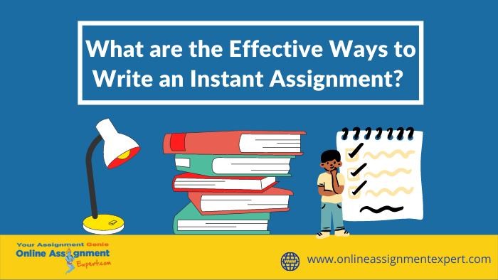 What are the Effective Ways to Write an Instant Assignment