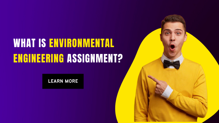 What is Environmental Engineering Assignment
