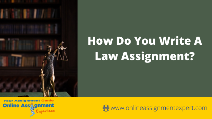 How Do You Write A Law Assignment