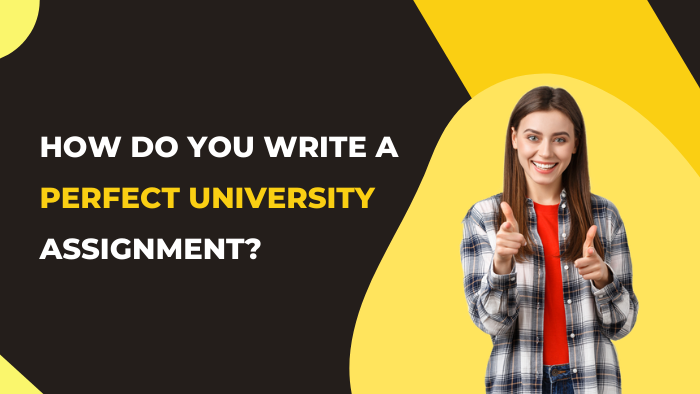 How Do You Write a Perfect University Assignment