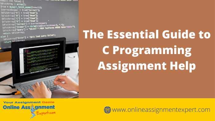 A Fantastic Guide to C Programming Assignments