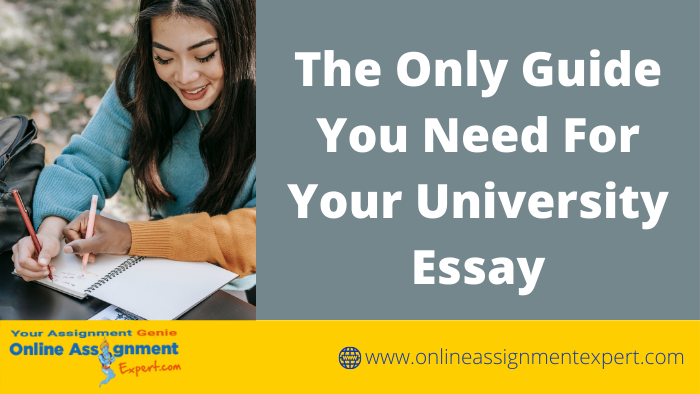 The Only Guide You Need For Your University Essay