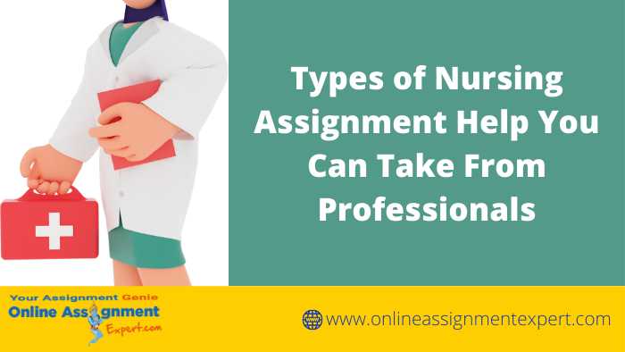 Various Nursing Assignment Help Provisions