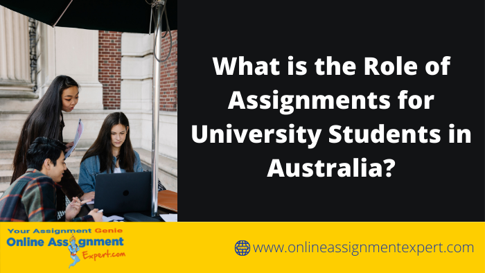 The Important Role of Assignments for University Students