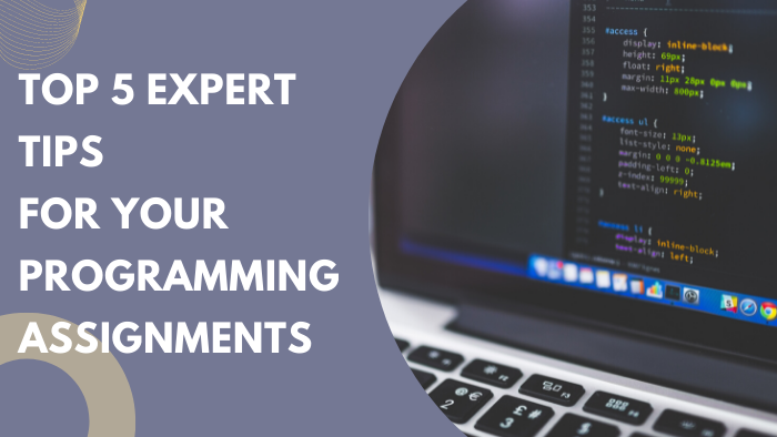 Top 5 Expert Tips For Your Programming Assignments