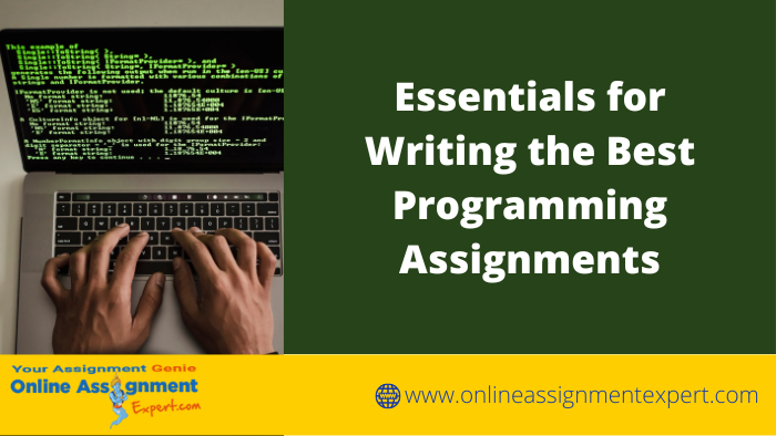 Essentials for Writing the Best Programming Assignments