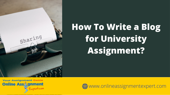Blog Writing Assignment Help Services