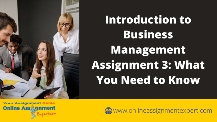 Know everything about the Business Management Assignment 3