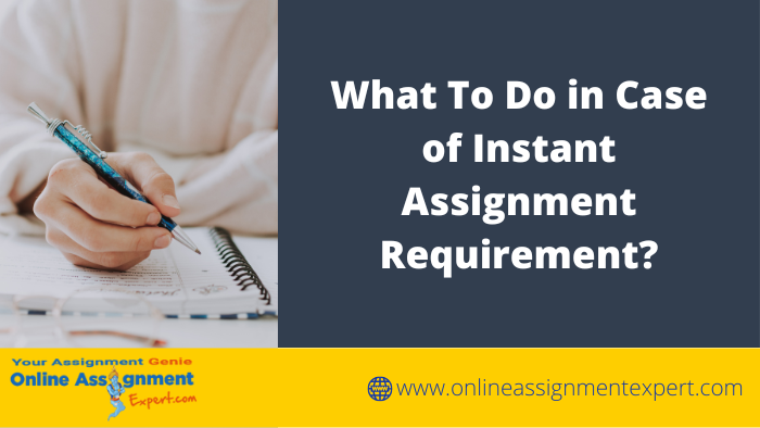 The Most Reliable University Assignment Help Online Services