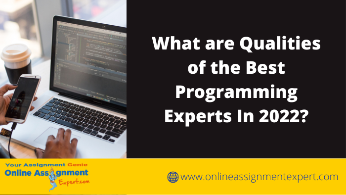 What are Qualities of the Best Programming Experts In 2022