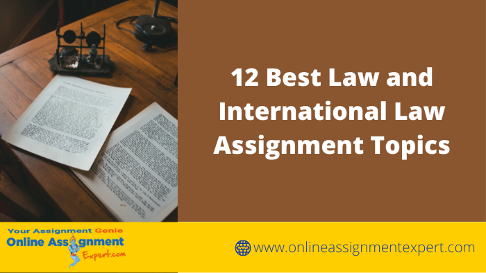 12 Best Law and International Law Assignment Topics