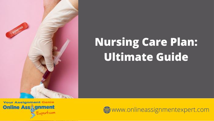 Nursing Care Plan: Ultimate Guide