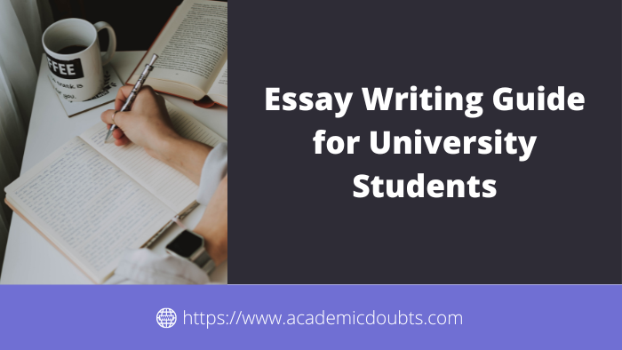 Essay Writing Guide for University Students