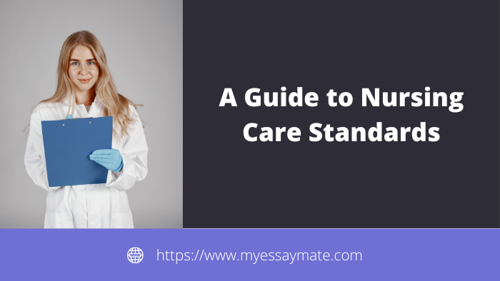 A Guide to Nursing Care Standards