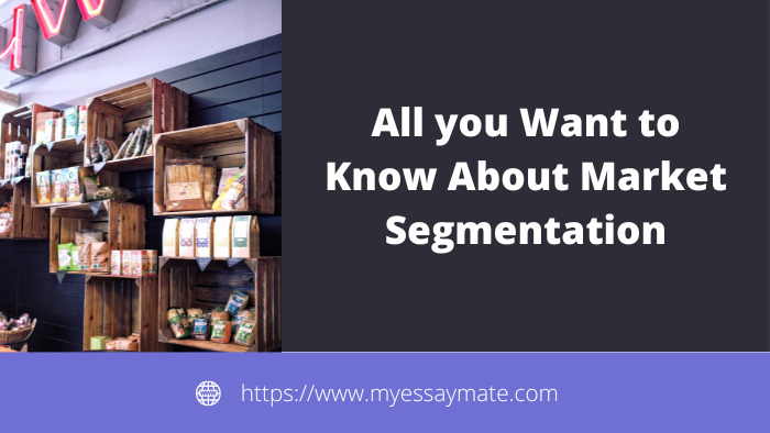 All you Want to Know About Market Segmentation
