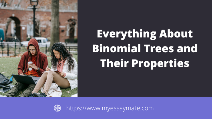 Learn Everything About Binomial Trees and Their Properties