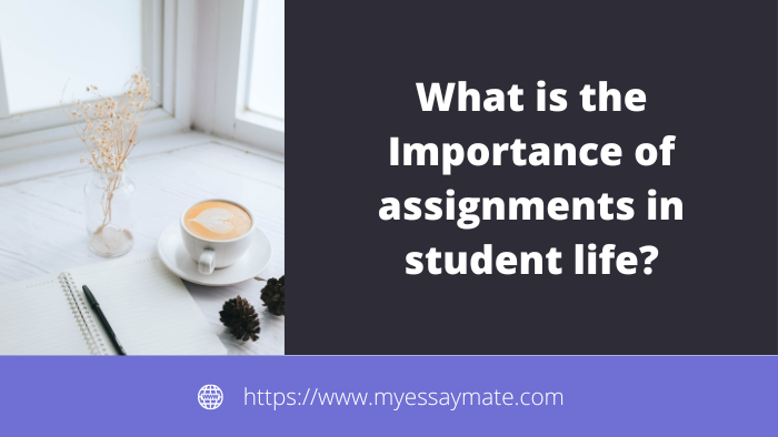 What is the Importance of assignments in student life