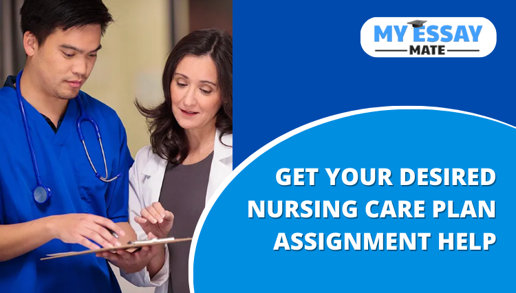 Nursing Care Plan Assignment Help